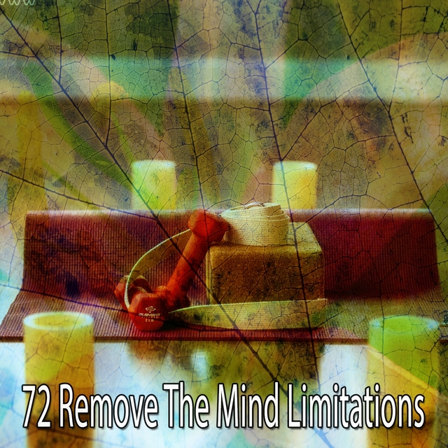 Couverture de 72 Remove the Mind Limitations