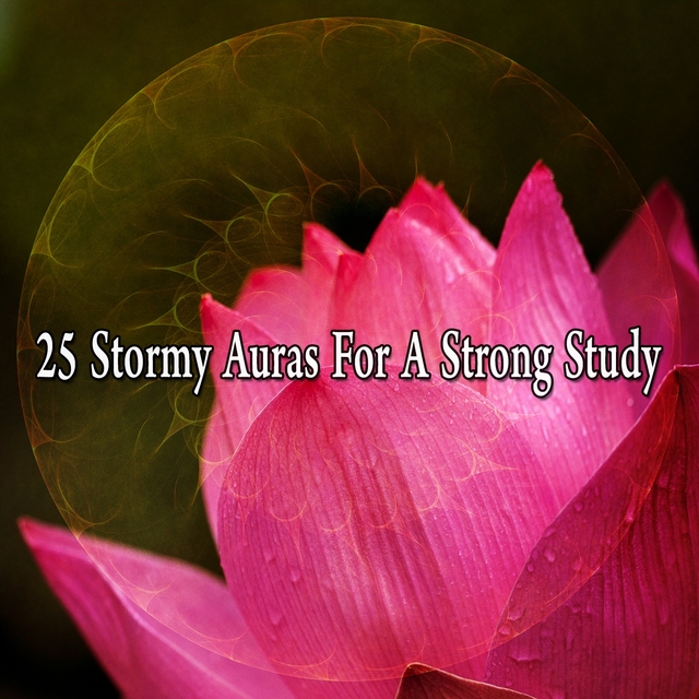 25 Stormy Auras for a Strong Study