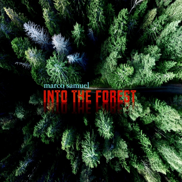 Couverture de Into the Forest