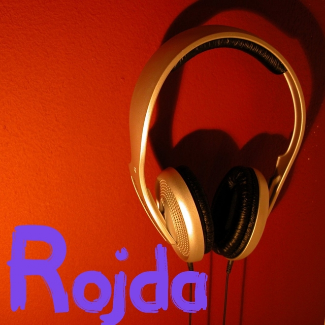 Couverture de Rojda