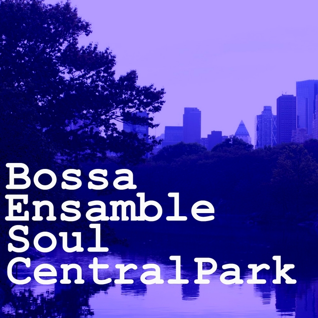 Couverture de Soul Central Park