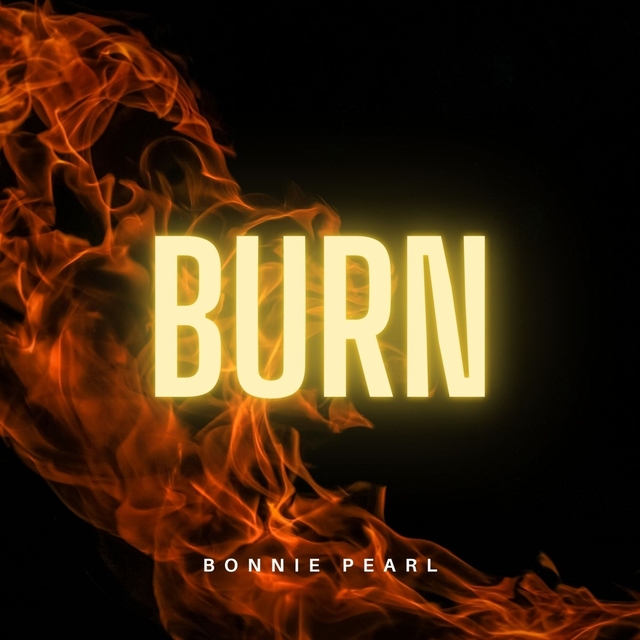 Couverture de Burn