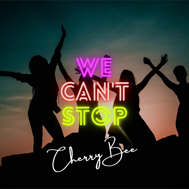 Couverture de We Can't Stop