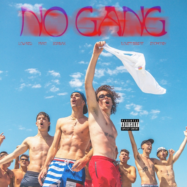 Couverture de No Gang