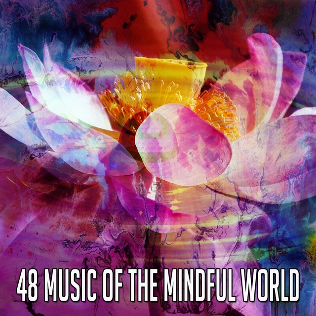 48 Music of the Mindful World