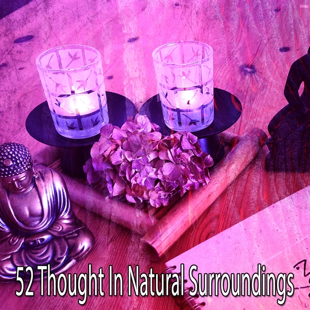 Couverture de 52 Thought in Natural Surroundings