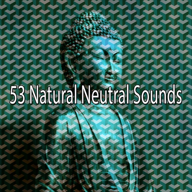 Couverture de 53 Natural Neutral Sounds