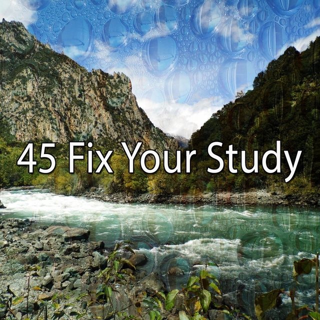 Couverture de 45 Fix Your Study