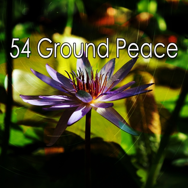 54 Ground Peace