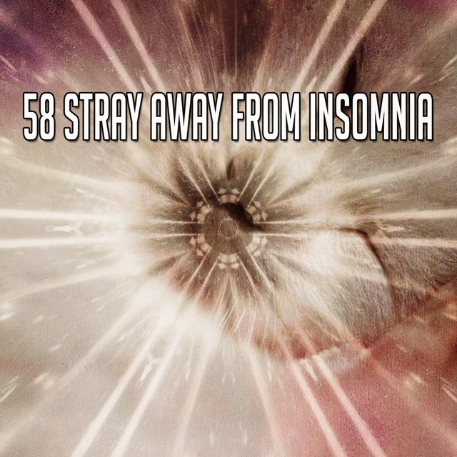 Couverture de 58 Stray Away from Insomnia