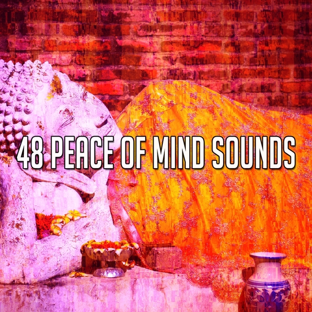 Couverture de 48 Peace of Mind Sounds