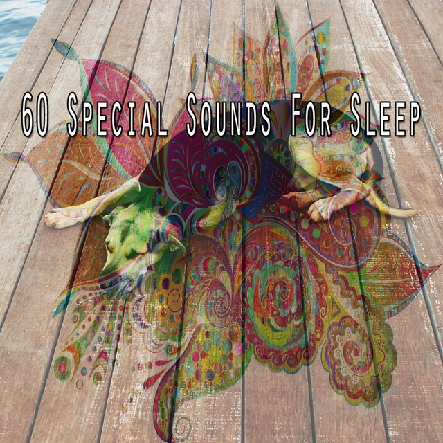 Couverture de 60 Special Sounds for Sle - EP