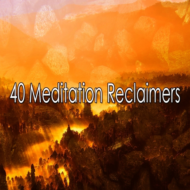 40 Meditation Reclaimers