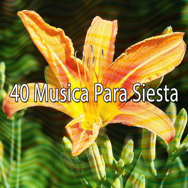 40 Musica Para Siesta