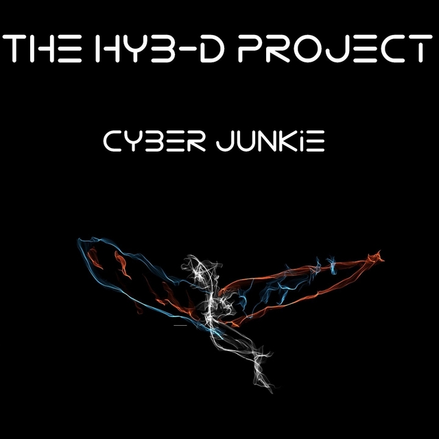 Cyber Junkie