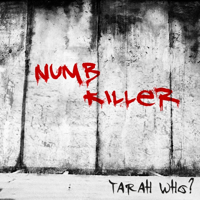 Couverture de Numb Killer