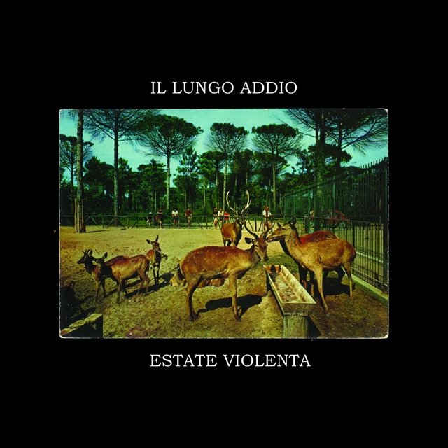 Estate Violenta