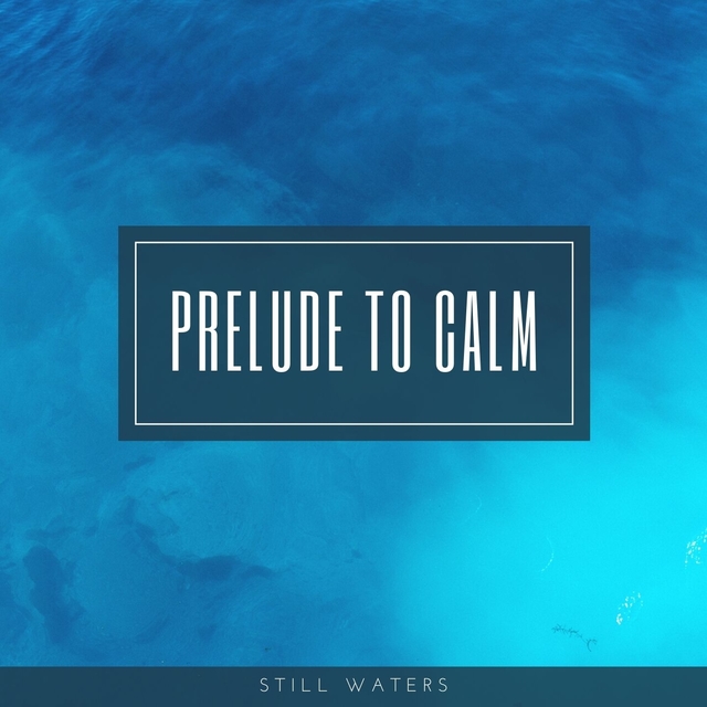 Couverture de Prelude to Calm