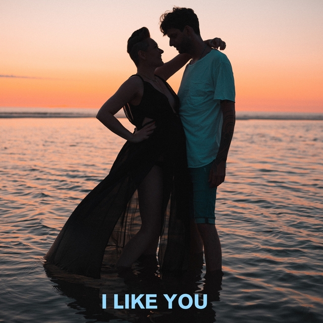 Couverture de I Like You