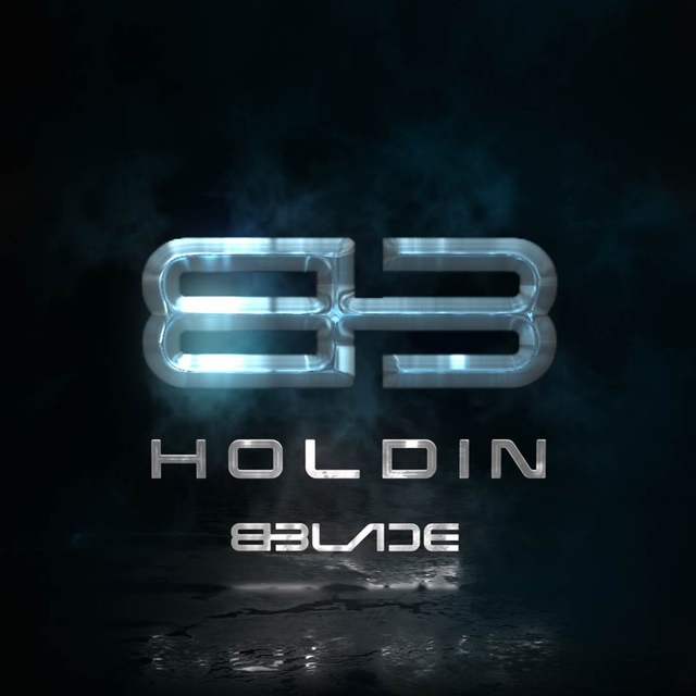 Couverture de Holdin