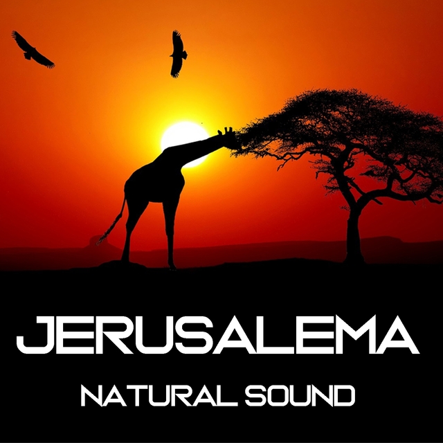 Jerusalema