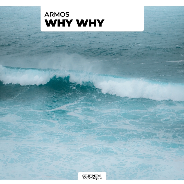 Couverture de Why Why