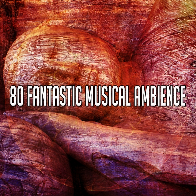 Couverture de 80 Fantastic Musical Ambience