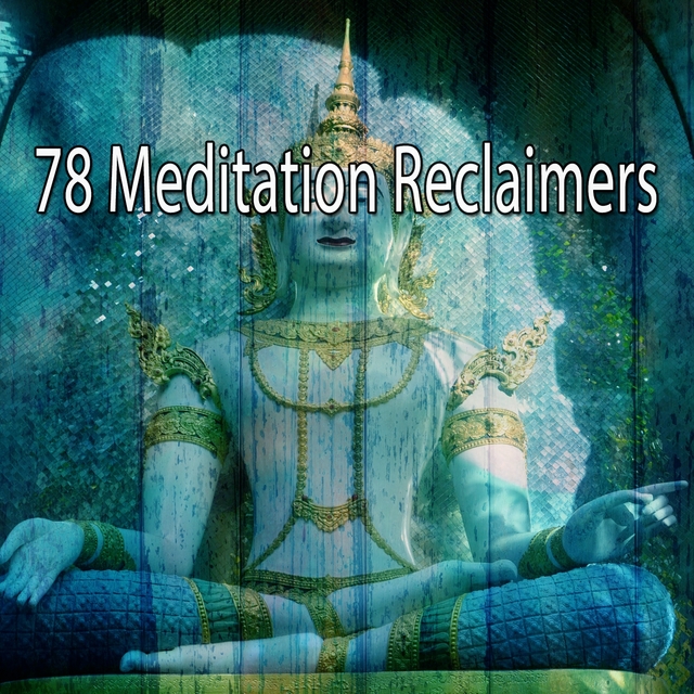 Couverture de 78 Meditation Reclaimers