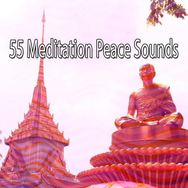 Couverture de 55 Meditation Peace Sounds