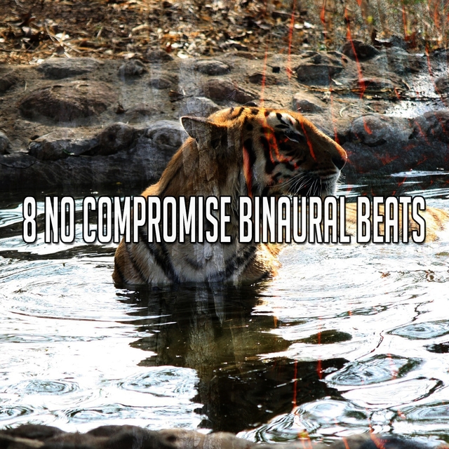 8 No Compromise Binaural Beats