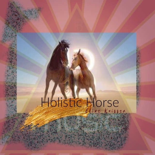 Couverture de Holistic Horse