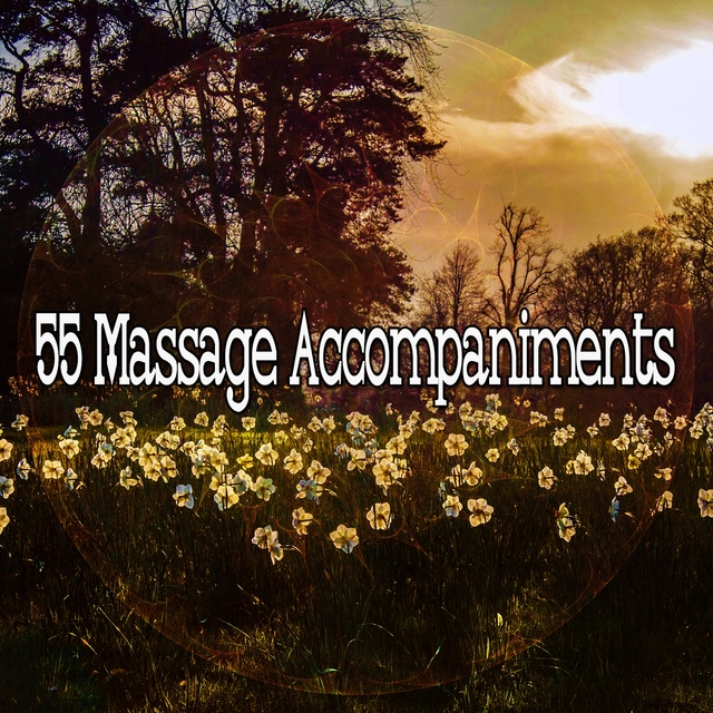 55 Massage Accompaniments