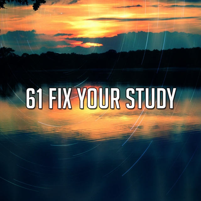 61 Fix Your Study