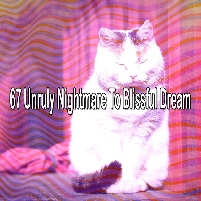67 Unruly Nightmare to Blissful Dream