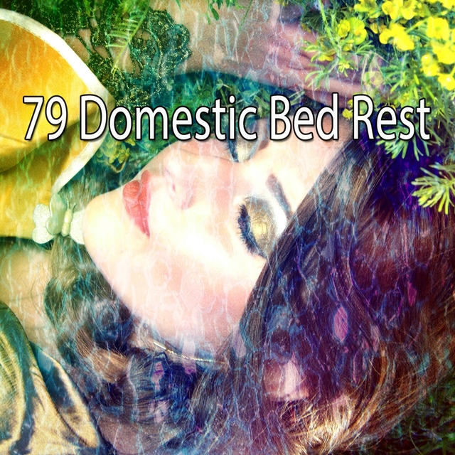 79 Domestic Bed Rest