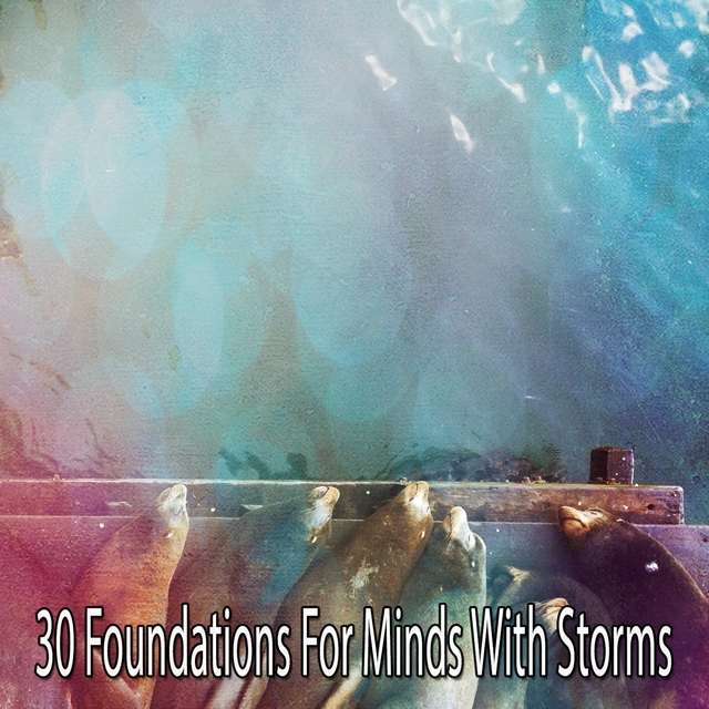 30 Foundations for Minds with Storms