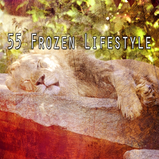 55 Frozen Lifestyle