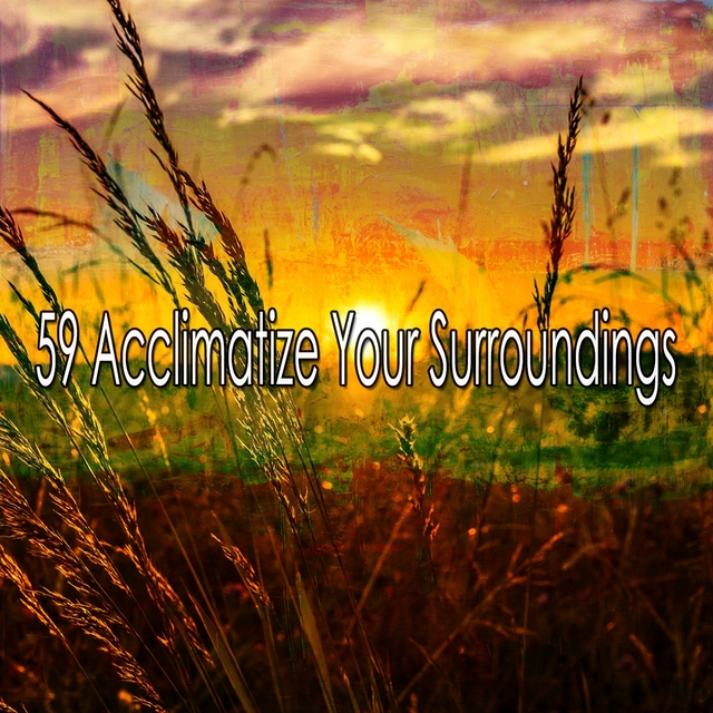 59 Acclimatize Your Surroundings