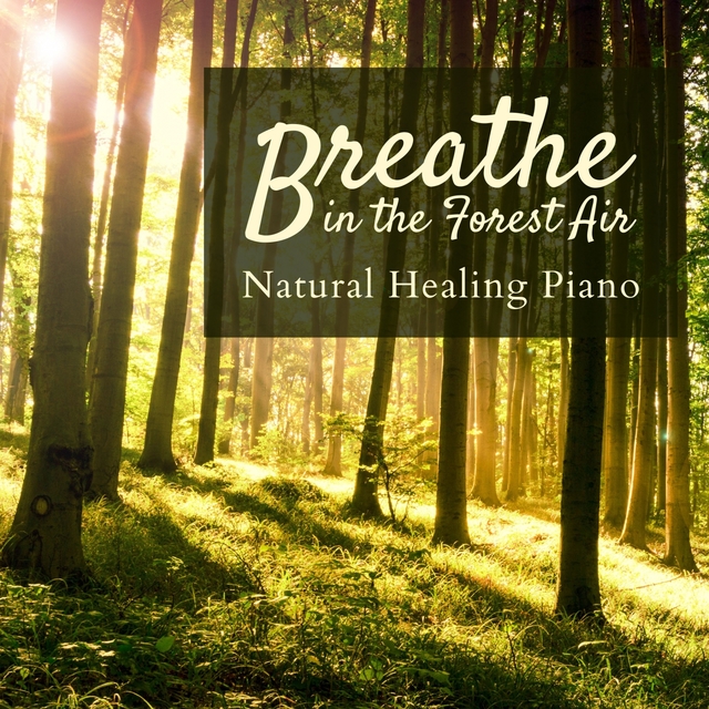 Breathe in the Forest Air - Natural Healing Piano