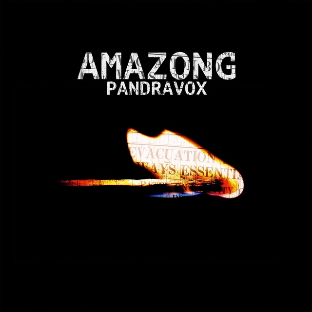 Couverture de Amazong