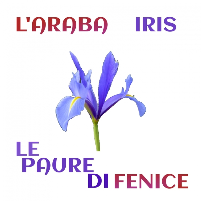 Couverture de Iris