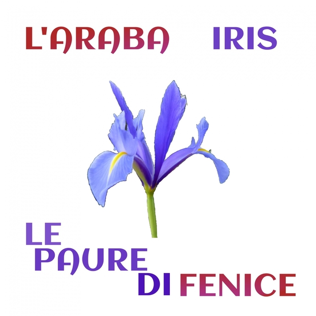 Iris