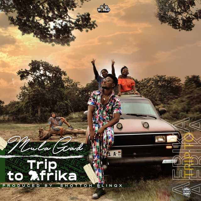 Couverture de Trip to Africa