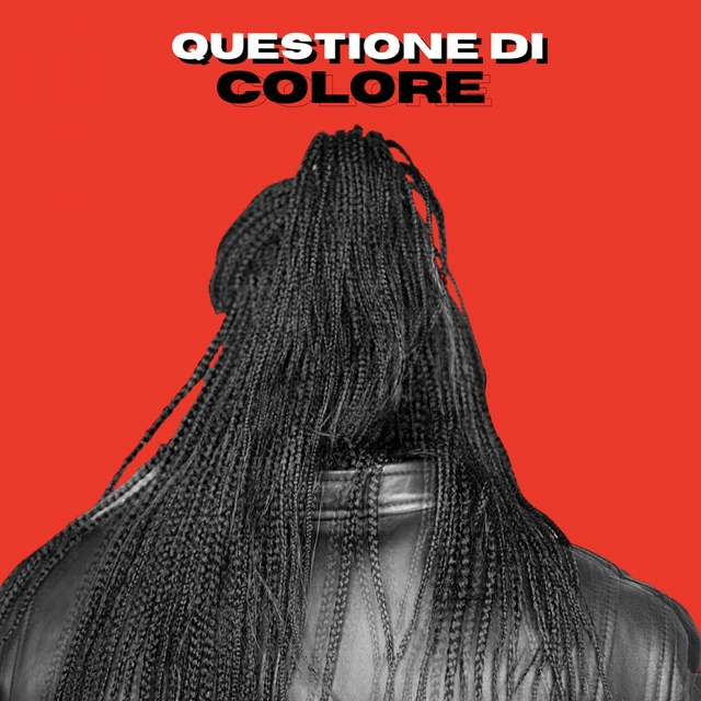 Couverture de Questione di colore