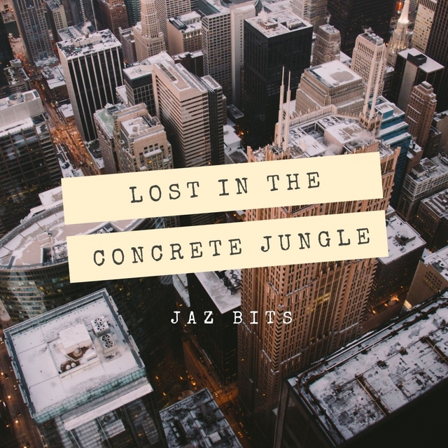 Couverture de Lost in the Concrete Jungle