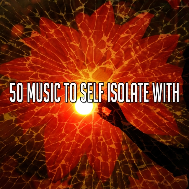 50 Music to Self Isolate With