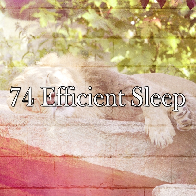 74 Efficient Sle - EP