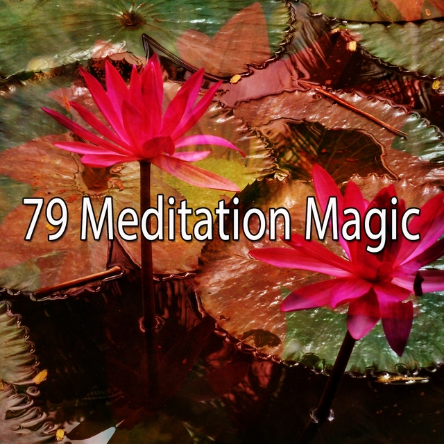 79 Meditation Magic