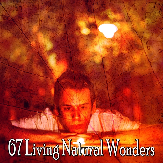 67 Living Natural Wonders