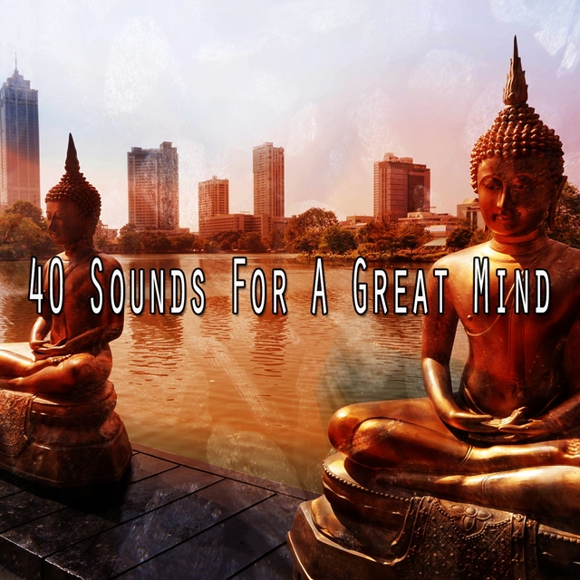 40 Sounds for a Great Mind